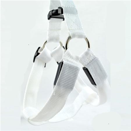 #3 Best Seller-LED Glowing Safety Collars