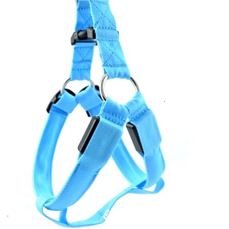 #3 Best Seller-LED Glowing Safety Collars